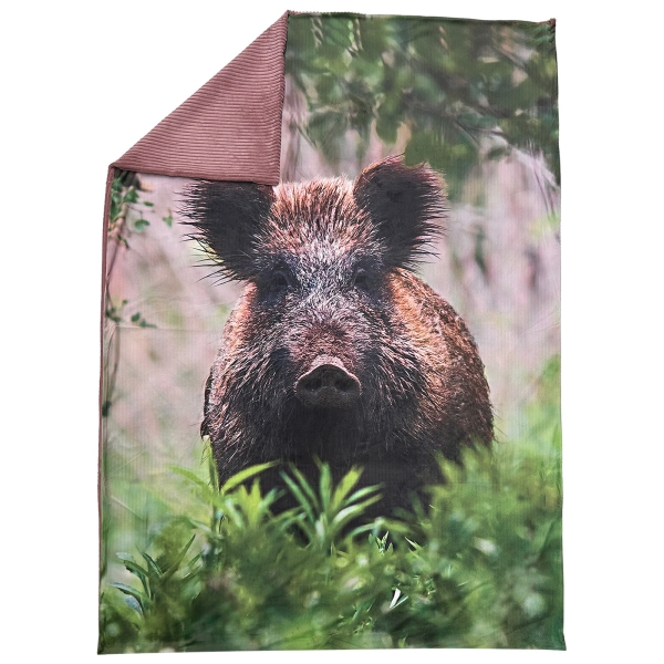 Wendedecke Wildschwein im Gras 140x200cm